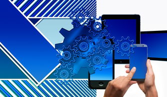 华体会体育在线-中国篮球联赛品牌建设及粉丝经济研究，国内篮球职业联赛